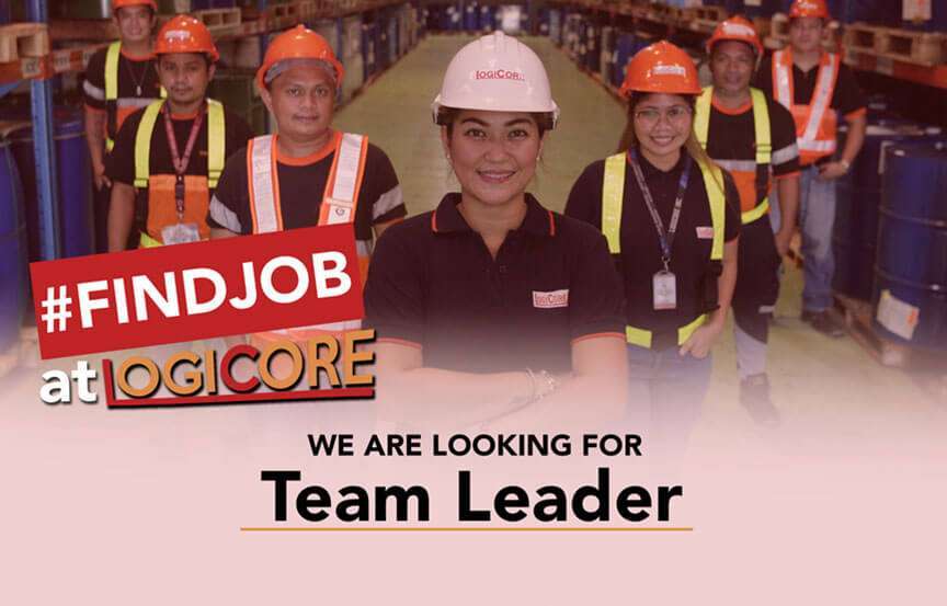 Team Leader Position Job Hiring at Logicore Inc