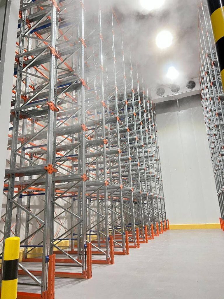 Racking System inside Cold Storage Philippines